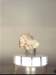 meteorit_c13_rfb_rfb_small.jpg