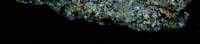 xpubpanorama1_small.jpg