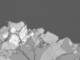 mapr01c04_small.jpg