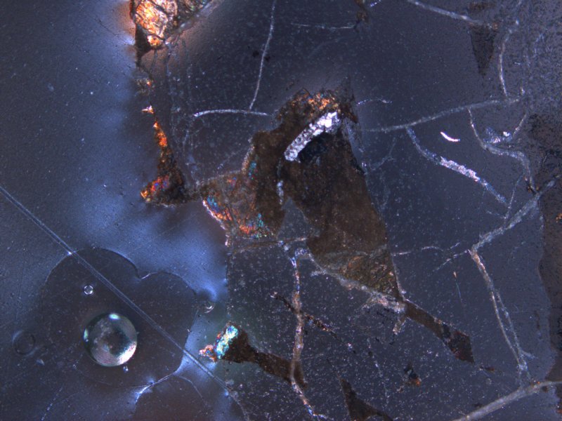 mor09c02.jpg