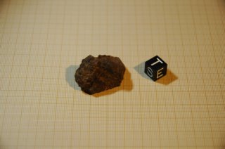 dsc_0408.jpg