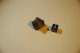 dsc_0417_small.jpg
