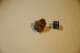 dsc_0422_small.jpg