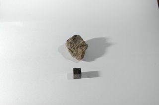 dsc_4211.jpg