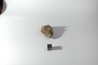 dsc_4216.jpg