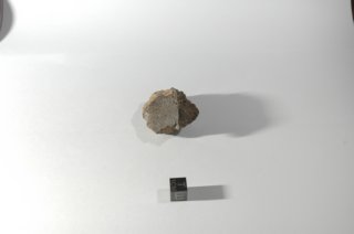 dsc_4219.jpg
