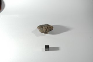 dsc_4220.jpg