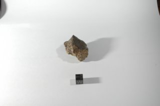 dsc_4221.jpg