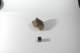 dsc_4221_small.jpg