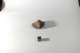 dsc_4223_small.jpg