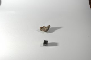 dsc_4230.jpg