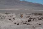 meteoritos2024david24a_1700_small.jpg