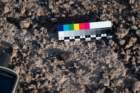 meteoritos2024david24a_1744_small.jpg