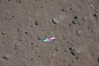 meteoritos2024david24a_1990_small.jpg