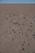 meteoritos2024david24a_1996_small.jpg