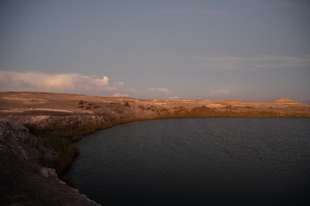 a_7655.jpg