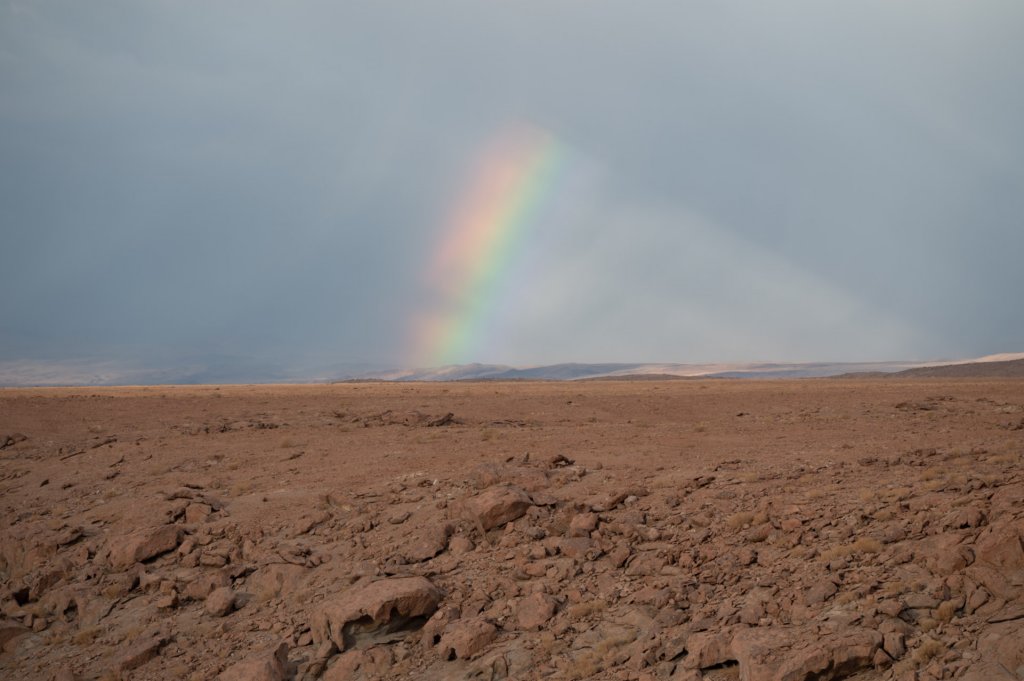 a_8145.jpg